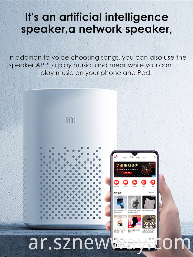 Xiaomi Speaker Play